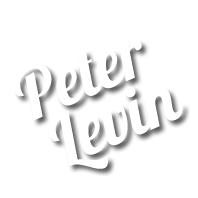 peterlevinmusic.com