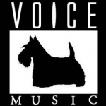 voicemusic.com.br