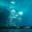 Обложка альбома Anoushka, Музыкальный Портал α