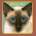 Обложка альбома Cheshire Cat, Музыкальный Портал α