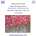 Обложка альбома Piano Sonatas, Vol. 4: Op. 109 / op. 110 / op. 111, Музыкальный Портал α