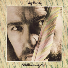 Обложка альбома Bullinamingvase, Музыкальный Портал α