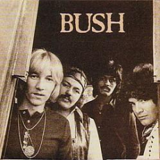 Обложка альбома Bush, Музыкальный Портал α