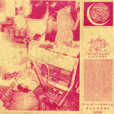 Обложка альбома Imaginary Falcons, Музыкальный Портал α
