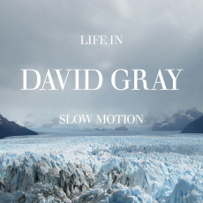Обложка альбома Life in Slow Motion, Музыкальный Портал α