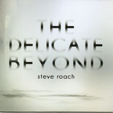 Обложка альбома The Delicate Beyond, Музыкальный Портал α