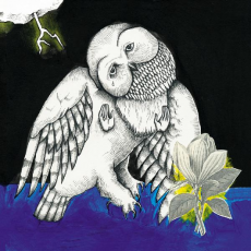 Обложка альбома The Magnolia Electric Co., Музыкальный Портал α