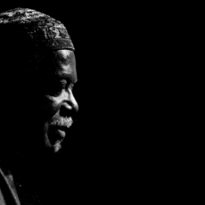 David "Fathead" Newman, Музыкальный Портал α