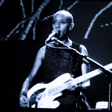 Gail Ann Dorsey, Музыкальный Портал α