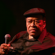 James Cotton, Музыкальный Портал α