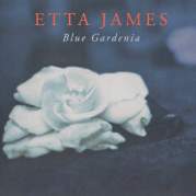 Blue Gardenia, Музыкальный Портал α