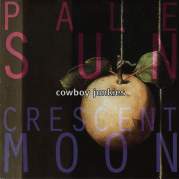 Обложка альбома Pale Sun, Crescent Moon, Музыкальный Портал α