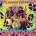 Обложка альбома Hitsburg Revisited, Музыкальный Портал α