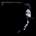Обложка альбома Truelove’s Gutter, Музыкальный Портал α