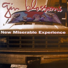 Обложка альбома New Miserable Experience, Музыкальный Портал α