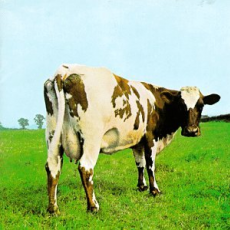 Atom Heart Mother, Музыкальный Портал α