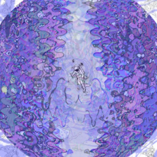 Обложка альбома Escape Velocity - Andrew Czink, Музыкальный Портал α