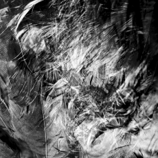 Обложка альбома Sixth Sense, Музыкальный Портал α