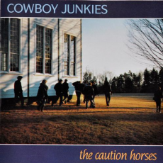 The Caution Horses, Музыкальный Портал α