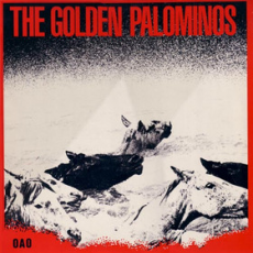 The Golden Palominos, Музыкальный Портал α