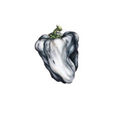Обложка альбома White Pepper, Музыкальный Портал α