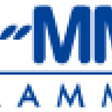 GMM Grammy, Музыкальный Портал α