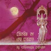 Обложка альбома Kamasutra: The Original Music of the Indian Sex Ritual, Музыкальный Портал α