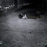 Naked City, Музыкальный Портал α