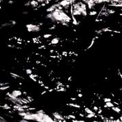 Обложка альбома シベリウス:交響曲第2番ニ長調 ヤンソンス/RCO, Музыкальный Портал α