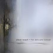 Обложка альбома The Delicate Forever, Музыкальный Портал α