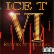 Обложка альбома VI: Return of the Real, Музыкальный Портал α