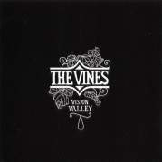 Обложка альбома Vision Valley, Музыкальный Портал α