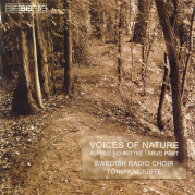 Обложка альбома Voices of Nature, Музыкальный Портал α